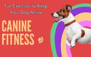 Read more about the article Canine Fitness: Fun Exercises to Keep Your Dog Active and Healthy