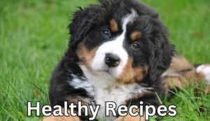 Read more about the article Homemade Dog Treats: Healthy Recipes for a Happy Pup