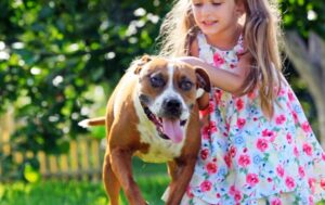 Read more about the article Preventing Dog Attacks on Children