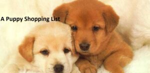 Read more about the article Essential Gear for Your New Furry Friend: A Puppy Shopping List