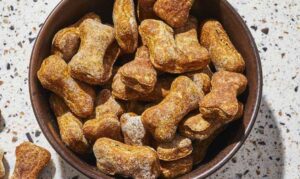 Read more about the article Homemade and Healthy Dog Treats