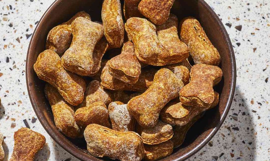 You are currently viewing Homemade and Healthy Dog Treats