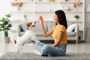 Read more about the article Mastering Good Behavior: The Ultimate Guide to Puppy and Dog Training