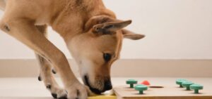 Read more about the article The Importance of Mental Stimulation for Dogs: Games and Activities