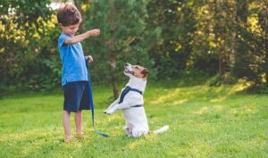 Read more about the article Dog Training with Children: How to Involve Kids Safely and Effectively