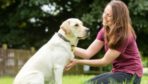 Read more about the article Positive Reinforcement Techniques: Reward-Based Training for Happy Pups