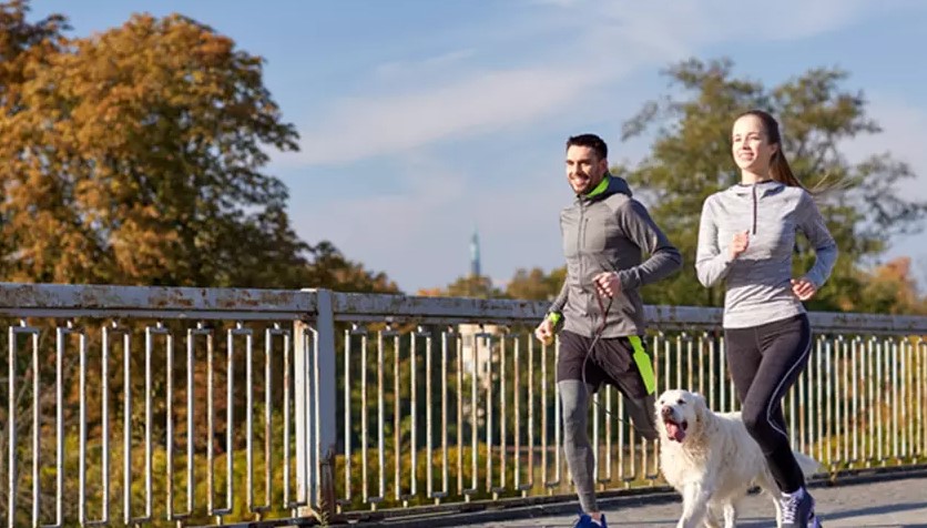 Read more about the article The Importance of Regular Exercise: Keeping Your Dog Fit and Happy